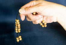 Load image into Gallery viewer, Komboloi - Art in Motion - Picture Jasper Gemstone