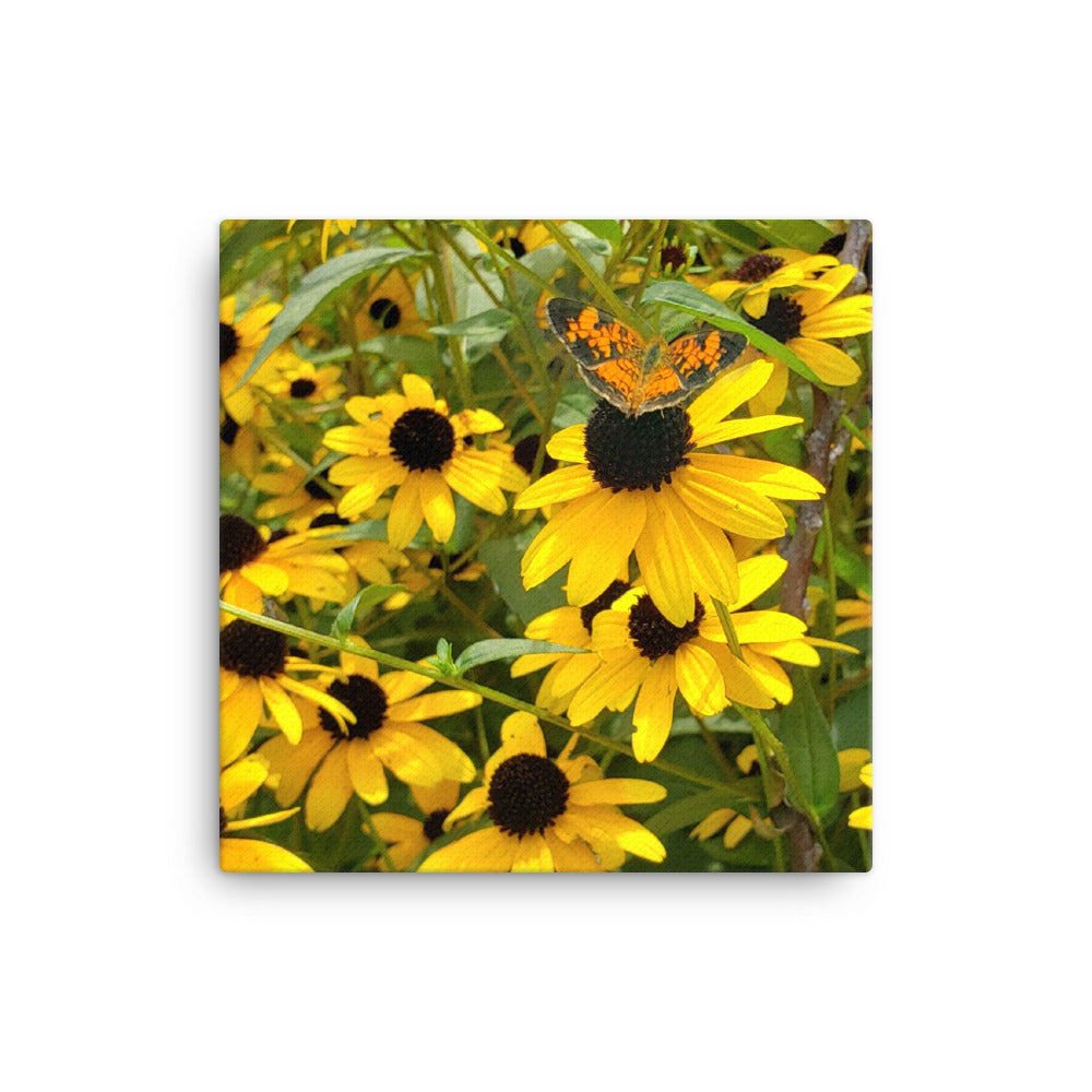 Canvas Life Prep Tools