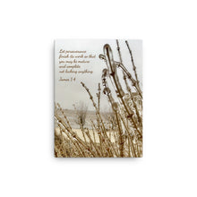 Load image into Gallery viewer, James 1:4 - Let perseverance finish its work so that you may be mature and complete, not lacking anything - Canvas