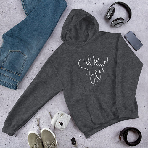 Soli Deo Gloria, Glory to God, Christian Hoodies for Women, Faith Hoodie, Scripture Hoodie, Bible Verse Hoodie, Mom Pajamas